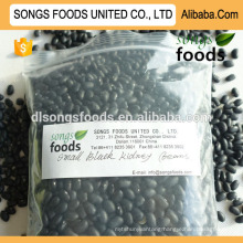 Black Matpe Beans Competitive Price